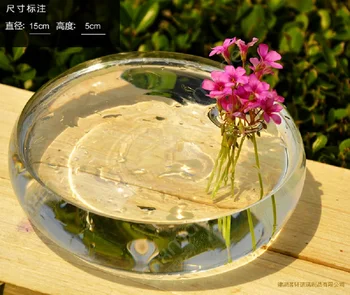 O. RoseLif Şeffaf flatworm Vazo Decorativos Düğün Dekorasyon Yuvarlak Hava Bitki Teraryum Handblown dekorasyon cam vazo