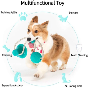 Çok fonksiyonlu Pet Molar Bite Köpek Oyuncak Kedi Oyuncak Güvenli Esneklik Temizleme Diş Topu TPR Yumuşak Köpek Vantuz Isırma Oyuncaklar köpek için